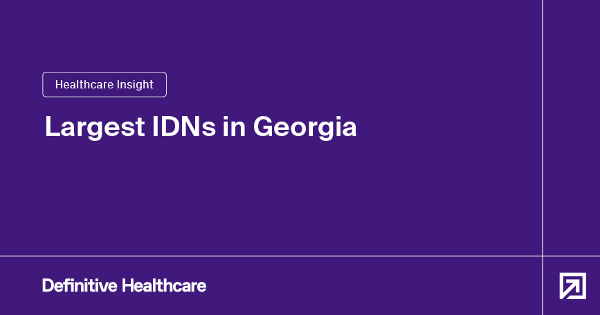 Largest IDNs in Georgia