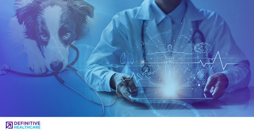 Most Common ICD-10 Codes for Animal-Inflicted Injuries