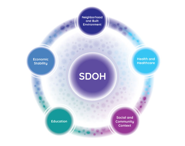 An illustration of five circles representing the categories of social health determinants