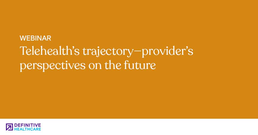Telehealth's trajectory-provider's perspectives on the future